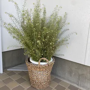 しーさん専用RADIALL SABOTAGE JACKET レザージャケット 黒 - メルカリ