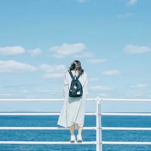 はしやすめ京都