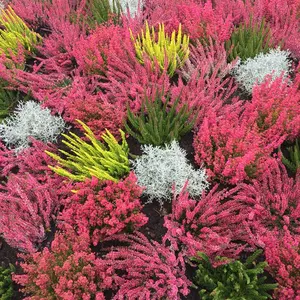 YU✨コメント欄にてセール中！