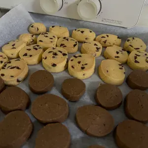 乃木坂46 長嶋凛桜 直筆サイン入り チェキ 乃木フェス - メルカリ