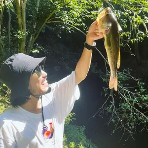 CPH Lighting Basic ペンダントライト TomSteppデザイン - メルカリ