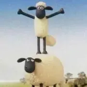 T*︎様 【廃盤】 SaucyDog さよならライカ - メルカリ