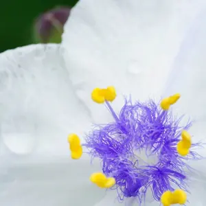 唐津焼 粉引茶盌（管理番号002） - メルカリ