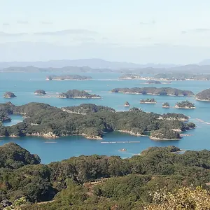 一生役立つ設計事務所の育て方 : 75の切実な疑問に答える - メルカリ