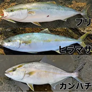 村上水軍様専用シマノ20ステラ1800hg 20000maxスプール - メルカリ