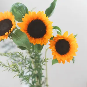 softcheese ソフトチーズ キルトジャケット パンツ 上下セット - メルカリ