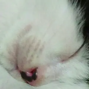 高橋薫