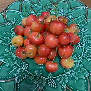 CHANEL 19Mギャラリー アートブックセット - メルカリ