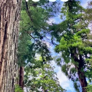 お値下げ中です❤︎】 神聖幾何学フラーレン マルチカラーアクアマリン