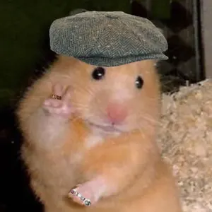 ごんすけ　断捨離中