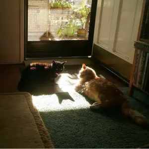 INI 木村柾哉 アリツア コンプリート rtp コンプ トレカ セット - メルカリ