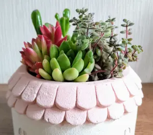 ☆HANA☆断捨離中