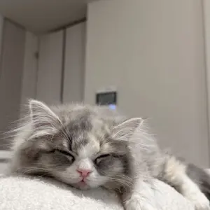 WUMUTI ウムティ ソロ ヨントン 当選ポラロイド チェキ 直筆サイン入り XLOV WUMUTI ウムティ 直筆サイン入り ポラロイド チェキ 当選