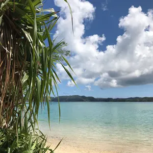 鬼滅の刃 フォレストアドベンチャー ホロ缶バッジ コンプ - メルカリ