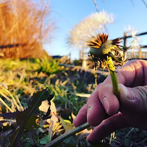 ポ*ん様 限定品! ポケモンカード 25周年アニバーサリーコレクション