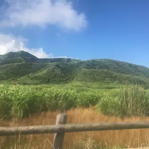 hichan x Donoban コラボバッグ グレー ハート トートバッグ - メルカリ