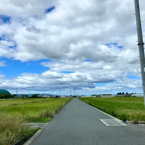 東福岡ラグビー部　ウォームアップウェア 東福岡ラグビー部 ウォームアップウェア - メルカリ