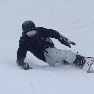 Gray Quadra クアドラ アルペンボード163cm 楽天市場】[在庫限り] 24-25 GRAY SNOWBOARDS グレイ QUADRA クアドラ