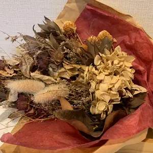 八木勇征 隣のステラ 入場者特典 フライヤー コラボカフェ 入場者特典