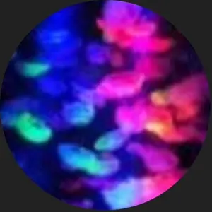 【プロフ確認下さい★】煌