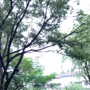 チャーリーとチョコレート工場 ウォンカ 公式映画グッズ コート