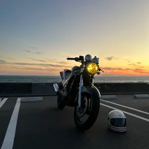 zzr250 プリティーレーシングショート管 zzr250 プリティーレーシングショート管 - メルカリ