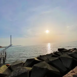 最終値下げ❗️【新品未使用】Apart byカシープスタンドロングコートM