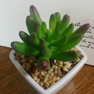 ヒスクローネエプロン♪ピンク♪リボン♪レース♪花モチーフ - メルカリ