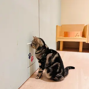 165mm】スギノメッセンジャー ピスト 競輪 シングルスピード