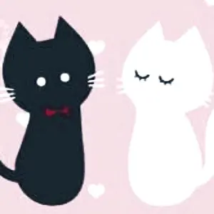 スキズ リノ トレカ チェキ風トレカ ポラロイド - メルカリ