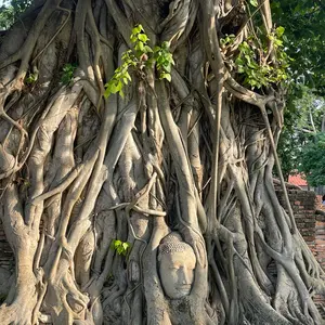 seventeen 消費期限 サイン入り生写真 エスクプス - メルカリ