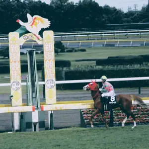 ウマ娘 ライスシャワー ミホノブルボン キャンバスボード 缶バッジ