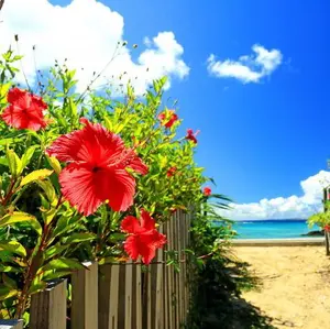 Moni☆プロフ必読