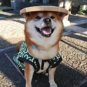 NiziU ミイヒ 限定 PressPlay 2週目 韓国 サノク トレカ - メルカリ