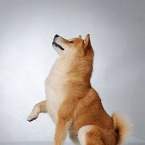 料理技術事典 全6巻 - メルカリ