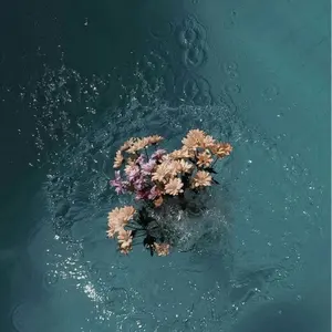 alldayproject ウチャン ADP 1st nemoz トレカ alldayproject ウチャン ADP 1st nemoz トレカ - メルカリ