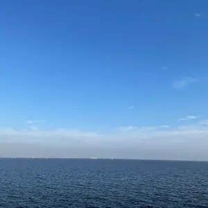 リバティ タナローン タックフレンチブラウス トレスコ - メルカリ