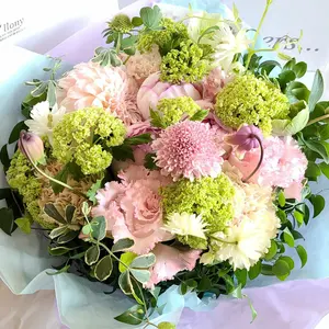 暁のヨナ アニメイト ブックフェア 2022 和風高級複製原画セット