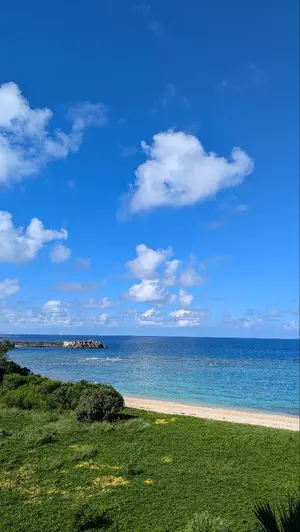 hui su様専用 食器棚 ホワイトウッド 幅90cm さいたま市引き取り