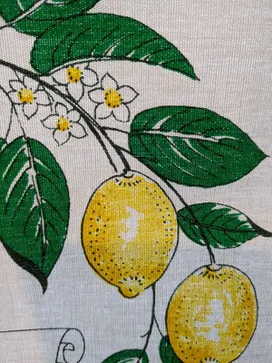 Lemon Tree