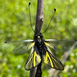 PC-9801BX3 本体のみ 動作品 PC-9801BX3 本体のみ 動作品 - メルカリ