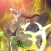 へり　セット割引！