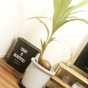 アウディAudi A6 ヨコハマ スタッドレス 235/55R18 - メルカリ