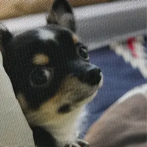 【新品未使用】Takaharu Nakai EP159 スノーボード 23-24 サロモンTakaharu Nakai EP159 スノーボード23-24 未使用 - メルカリ