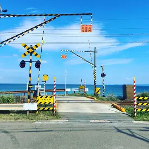 NATURE TONES 38 RICH PHOENIX 38灯 - メルカリ