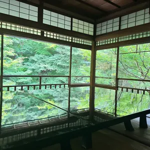 MTG 日本語 モダンホライゾン 否定の力 旧枠 エッチングfoil - メルカリ