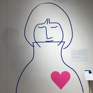 100,000定価より安い欠番なし】全10点セット 七田式フラッシュ