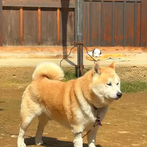 【‼️サマーセール開催中8/12〜18】