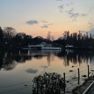 お値下げ】Mikasa FIVB公式ボール Vリーグ 直筆サイン入り - メルカリ