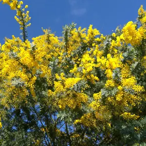 シーシー様 新品/未試着]14A 秋冬モンクレール EBRE ダウンジャケット